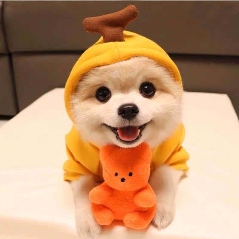 US Local Cute Fruit Small Dog ClothesHoodies Winter Fleece Pet Puppy Cat Costume Coat For French Chihuahua Outfit