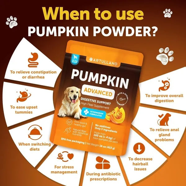 US Local Pumpkin Powder For Dogs Digestive Support 16 OZ Fiber Supplement For Constipation For Gut Healthy Skin Digestion Glands Firm Stool Poop Anti Diarrhea Gas Relief Made In USA