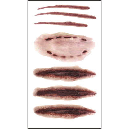 Halloween Wound Tattoo Sticker