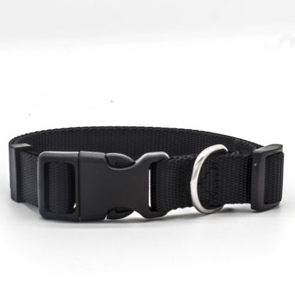 US Local New Pet Collar