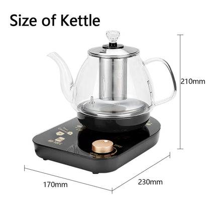 US Local Professional Multi-functional Glass Teapot  800ml Fast Heating Cooking And Brewing Integrated Electric Kettle With Stainless Steel Filter