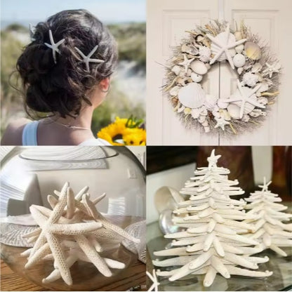 US Local 20 PCS 2-4 Inch 4-6 Inch Bulk Natural Real Starfish For DIY Crafts Wedding Beach Christmas Tree Ornaments