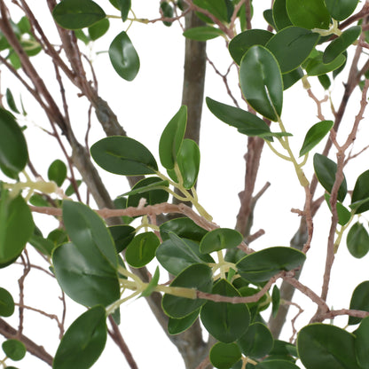 US Local 150CM ARTIFICIAL MILANO LEAF BONSAI
