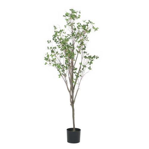 US Local 180CM ARTIFICIAL MILANO LEAF BONSAI