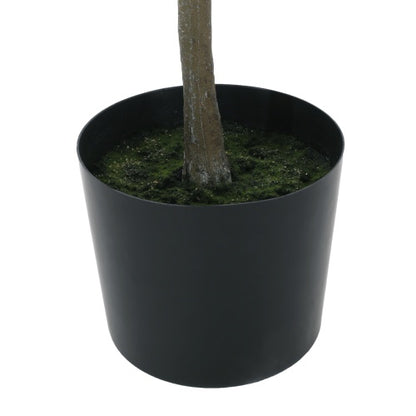 US Local 180CM ARTIFICIAL MILANO LEAF BONSAI