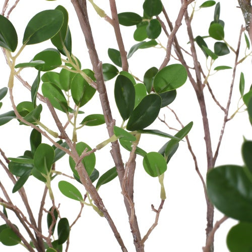 US Local 180CM ARTIFICIAL MILANO LEAF BONSAI