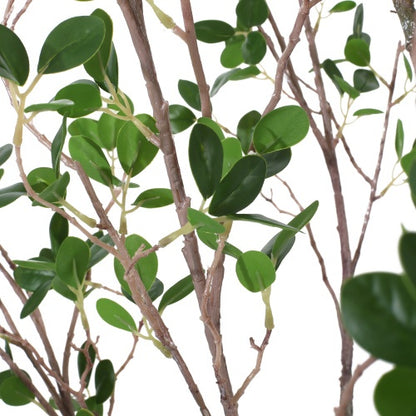 US Local 180CM ARTIFICIAL MILANO LEAF BONSAI