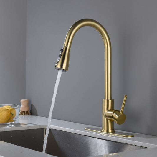 US Local Kitchen Faucet Household Sink Faucet