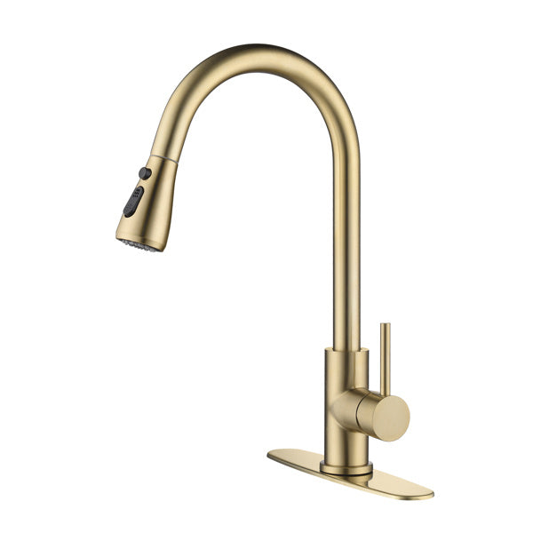 US Local Kitchen Faucet Household Sink Faucet