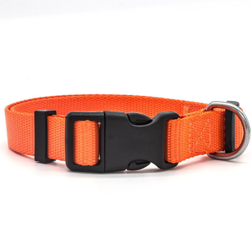US Local New Pet Collar
