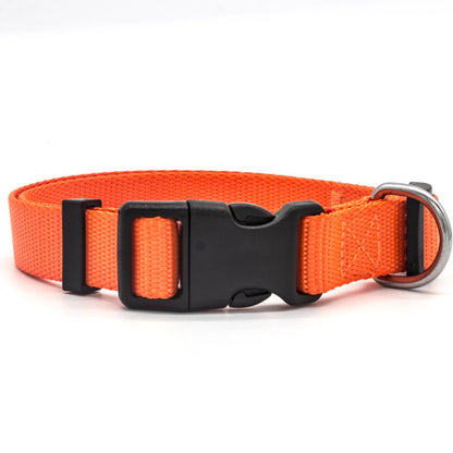 US Local New Pet Collar