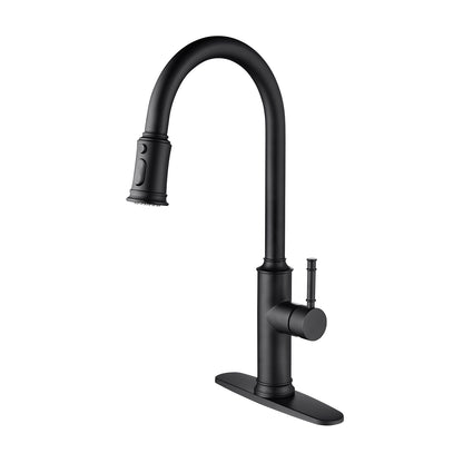 US Local Pull-out Sprinkler Kitchen Faucet