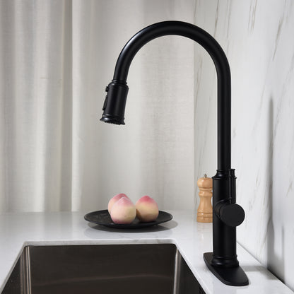 US Local Pull-out Sprinkler Kitchen Faucet