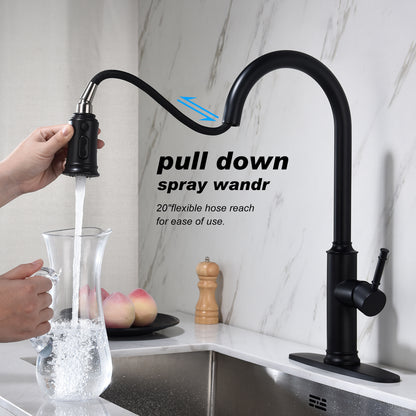 US Local Pull-out Sprinkler Kitchen Faucet