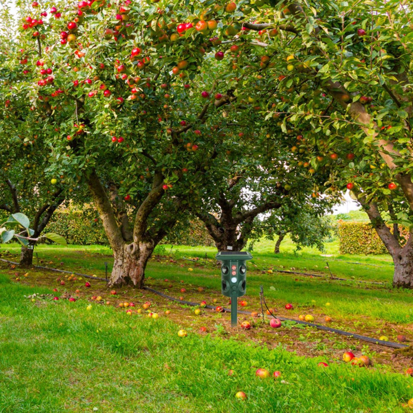 US Local Solar Ultrasonic Animal Repeller Solar Powered Animal Repellent Chaser With PIR Motion Sensor IP54 Waterproof Sound Flashing Light For Deer Raccoon Squirrel Mice Snakes Cat Dog