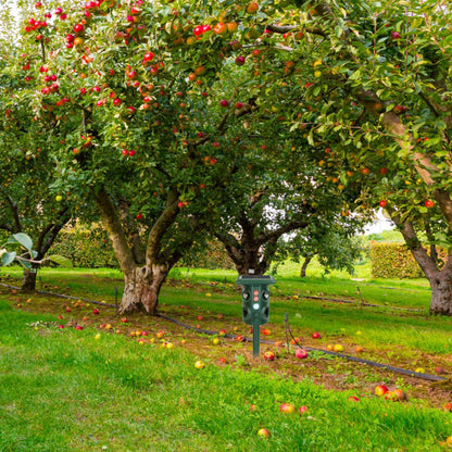 US Local Solar Ultrasonic Animal Repeller Solar Powered Animal Repellent Chaser With PIR Motion Sensor IP54 Waterproof Sound Flashing Light For Deer Raccoon Squirrel Mice Snakes Cat Dog