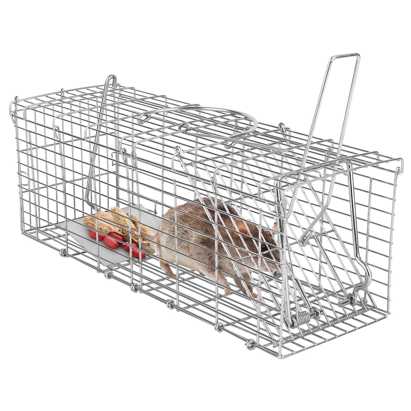 US Local Humanized And Reusable Mouse Traps Are Safe And Suitable For Families, Children, Pets, And Easy To Install