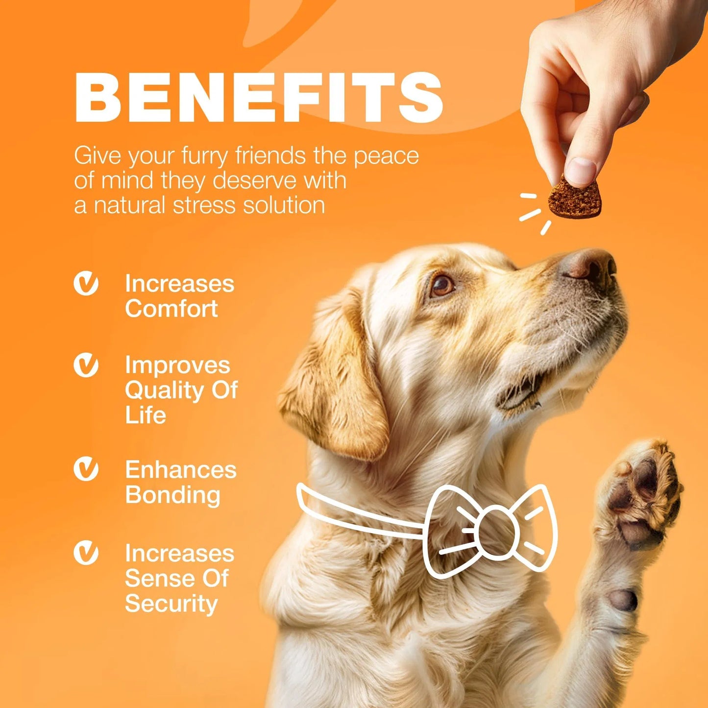 US Local Dog Allergy Relief Chews Itch Relief For Dogs Anti Itch Dog Allergy Chews US Formulated Dog Itching Skin Relief With Salmon Oil Immune Health Seasonal Allergies & Hot Spots Support Treats