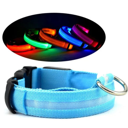 US Local LED PET Safety Halo Style Collar