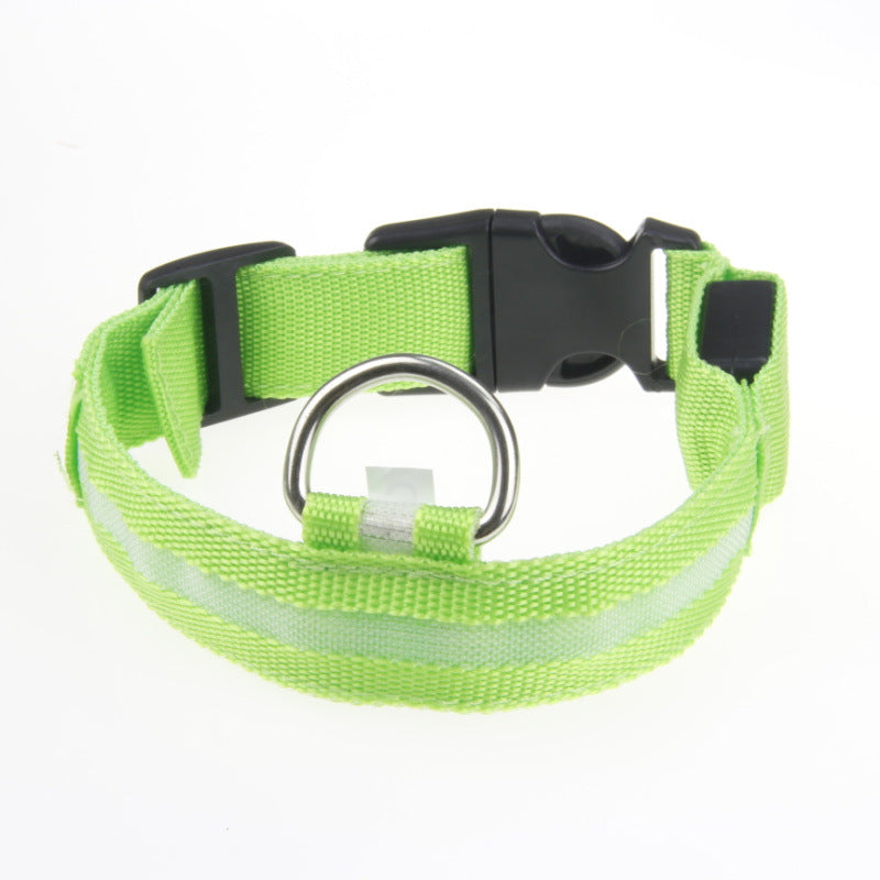 US Local LED Luminous Pet Dog Collar Night