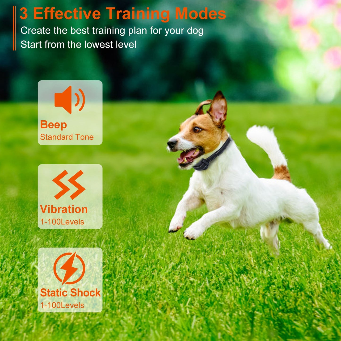 US Local Train Collar OR Receiver Only Options - 3280FT Dog Training Collar IP67 Waterproof Pet Beep Vibration Electric Shock Collar 3 Channels Rechargeable Transmitter Receiver Trainer With Flashlight