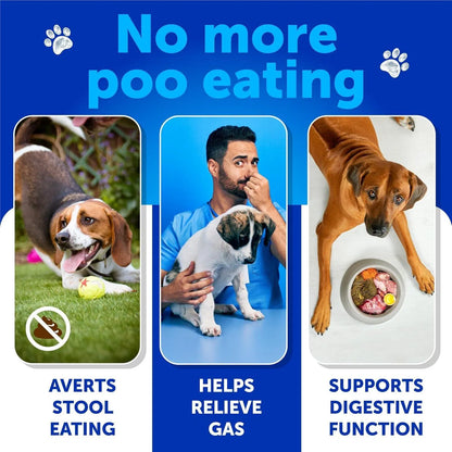 US Local No Poo Chews for Dogs – Puppy Coprophagia Stool-Eating Deterrent with Probiotics & Enzymes | Stop Dogs from Eating Poop | Digestive, Immune & Gut Health Support