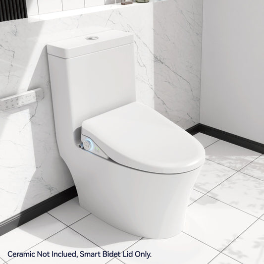 US Local Smart Toilet With Side Knob Adjustable Heated Seat, Water Temperature And Pressure Adjustment Function, Portable Toilet With Automatic Nozzle Cleaning Function, Cannot Be Shipped On Weekends
