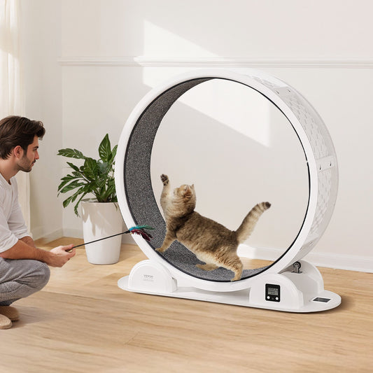 Cat Exercise Wheel With Pedometer 40.8 Cat Treadmill For Pet Health White