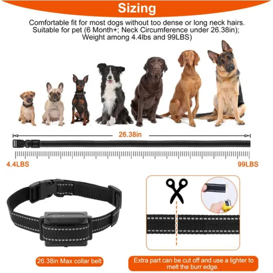 US Local Dog Training Collar Receiver IP67 Waterproof