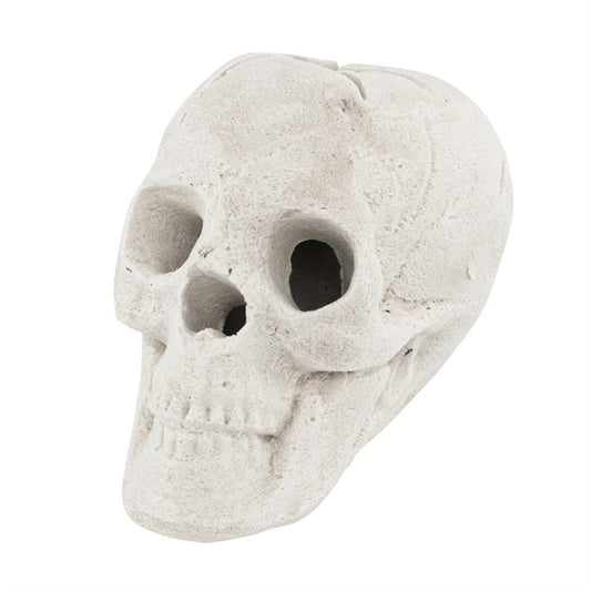 US Local Halloween Decoration Beige