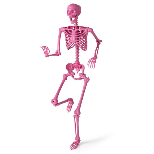 US Local 5.5 FT Pink Halloween Skeleton Decor  - No Assembly Needed, Integrated Hanging Rope, Playful-Spooky Vibe for Parties/Yards