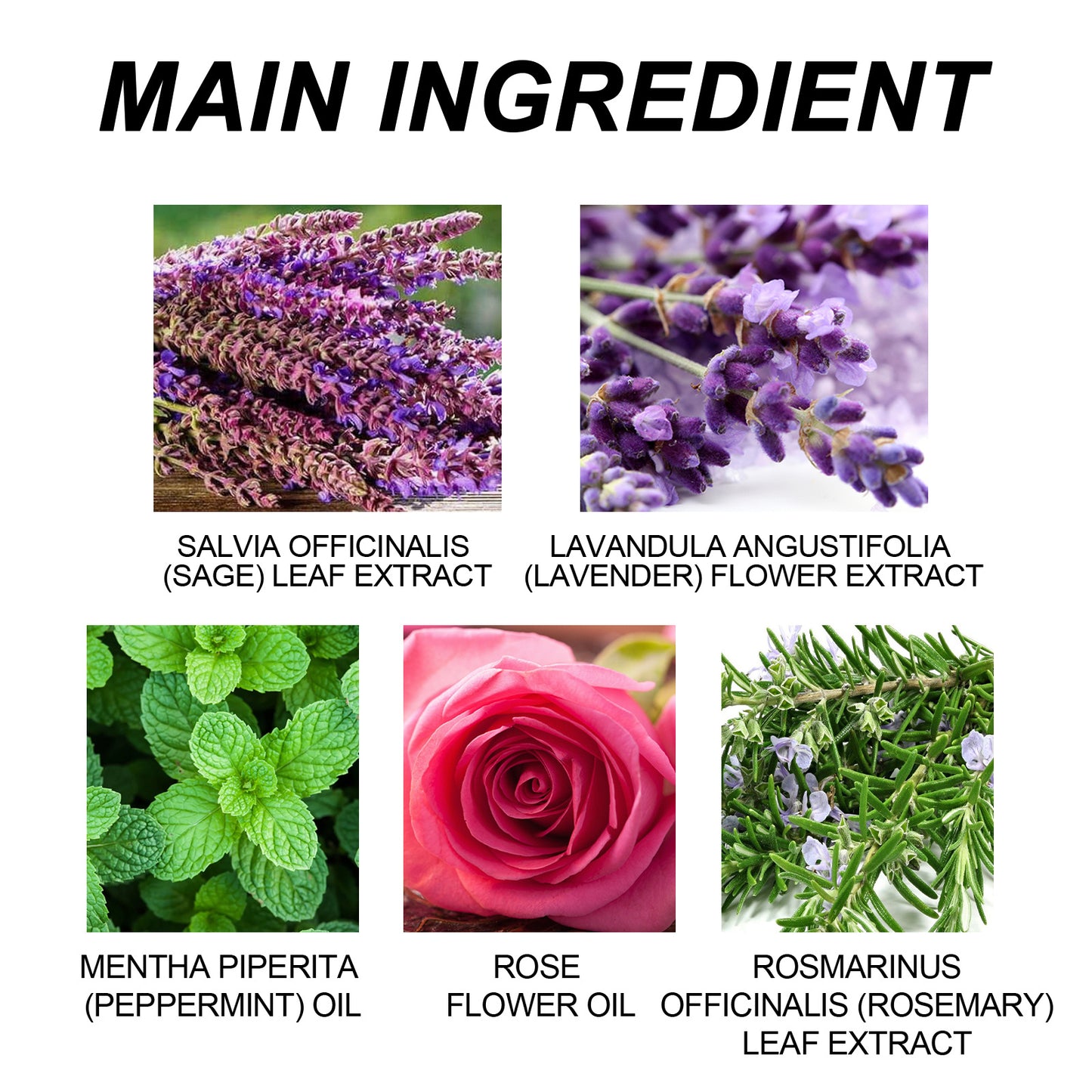 US Local Ximonth Essential Oil Good Night Patch Help To Fall Asleep Quickly At Night Relieve Body Muscle Fatigue Stress Sleep Patch