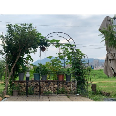 US Local Garden Arch Arbor Trellis For Climbing Plants With Gate, Durable Metal Garden Arch Outdoor Wedding Arch, For Wedding Ceremony Party Plant Climbing Rose Vines Lawn Courtyard Patio Black, 7.15ft