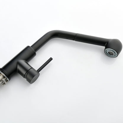 US Local Stainless Steel Matte Black Single Handle Pull Out Spray, Kitchen Faucet
