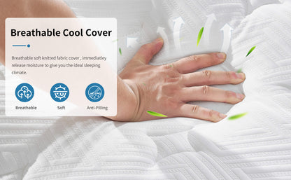 US Local 12 Inch Hybrid Mattress Individual Pocket Spring Memory Foam Knitted Cover CertiPUR-US White