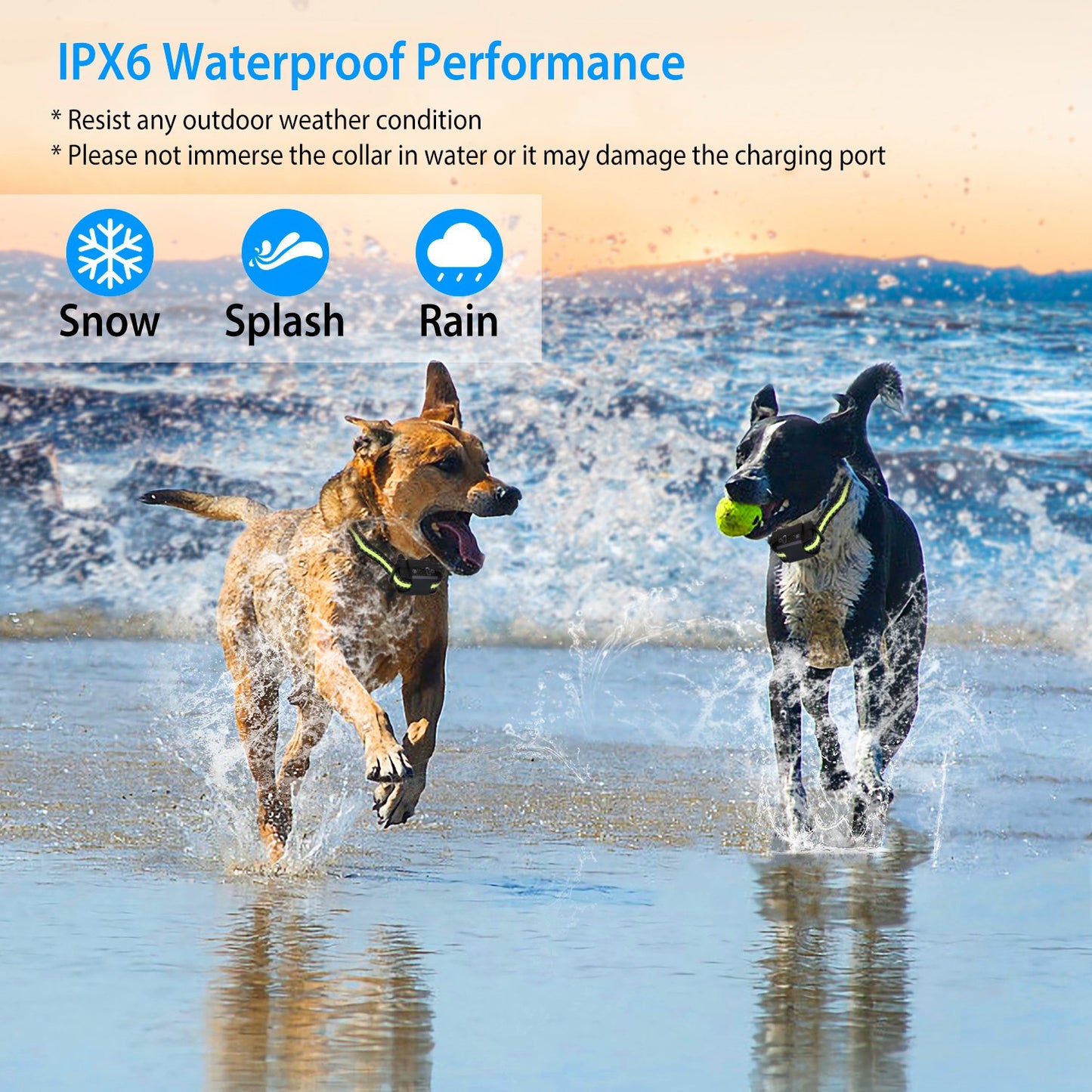 US Local Dog Bark Collar Rechargeable Waterproof Beep Vibration Static Stimulation Bark Stopper Automatic Identification Collar With 6 Intensity Dual Modes