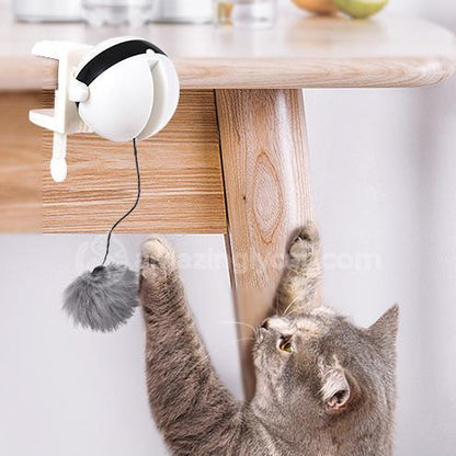 US Local Pet Cat Toy Electronic Motion Cat Toy Interactive