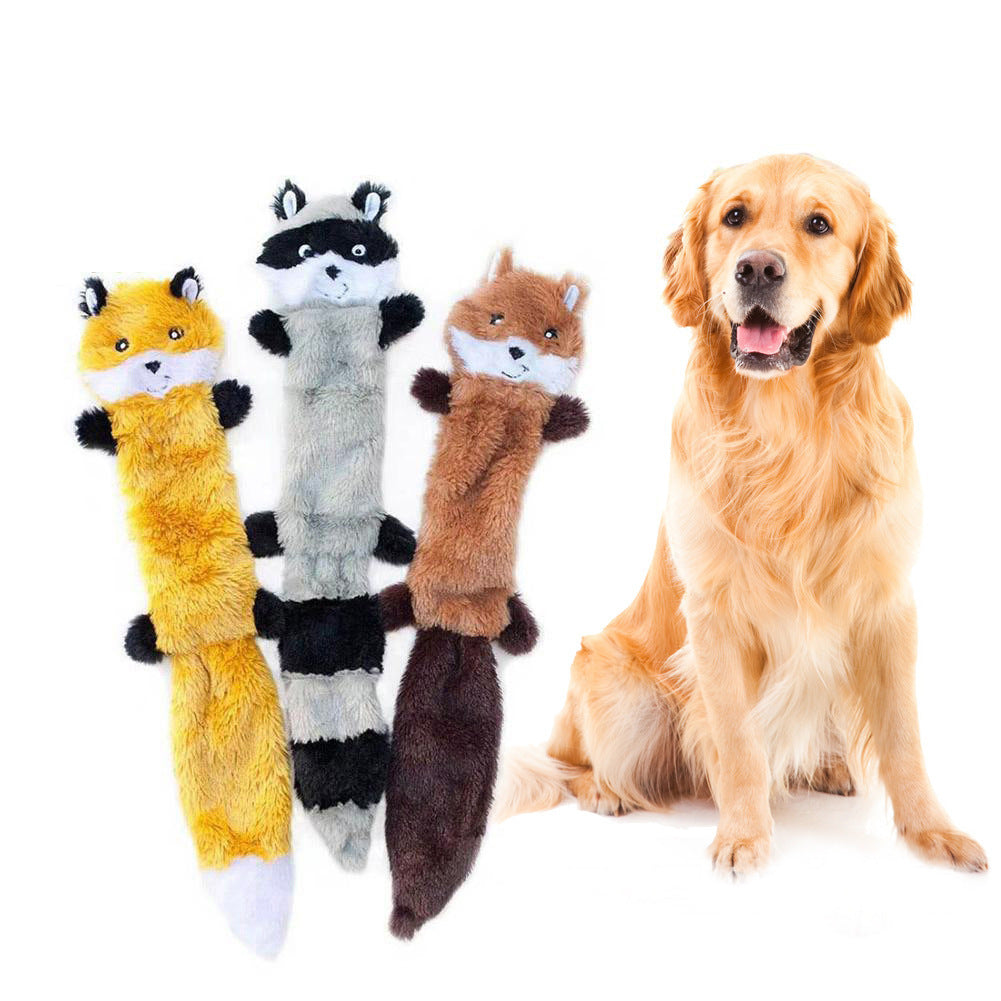 US Local Pet dog toy