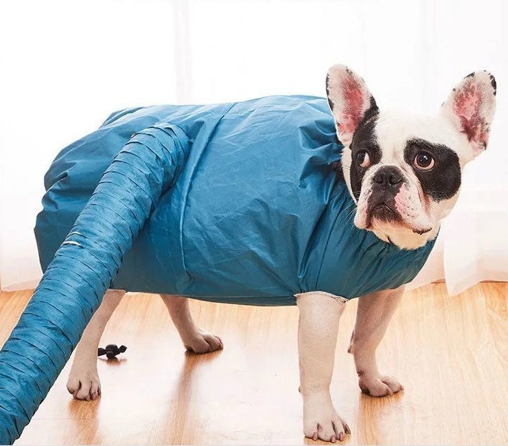 US Local Automatic Drying Bag With Quick Drying Hair Dryer For Bathing