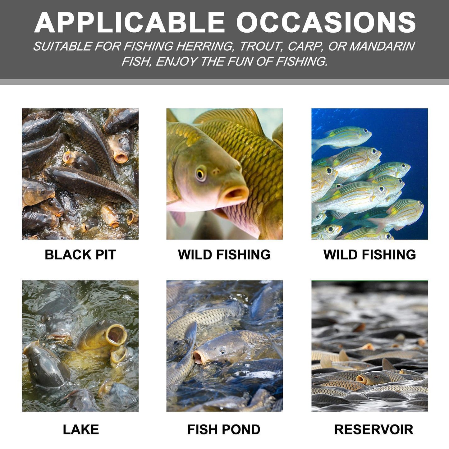 US Local Yebang Corn Fish Bait, Portable Fish Bait For Reservoir Fishing