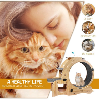 US Local Cat Wheel 6-in-1 Cat Fitness Wheel