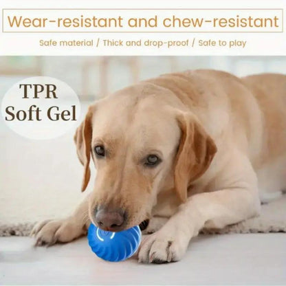 US Local Blue And Orange Pet Bouncing Ball Fun Pet Bouncing Ball For Cats And Dogs