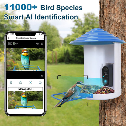 US Local Smart Bird Feeder With Solar Powered Camera 1080P HD AI Identify PIR Motion Auto Capture Video Cloud Card Storage WiFi Connection App Control IP65 Waterproof