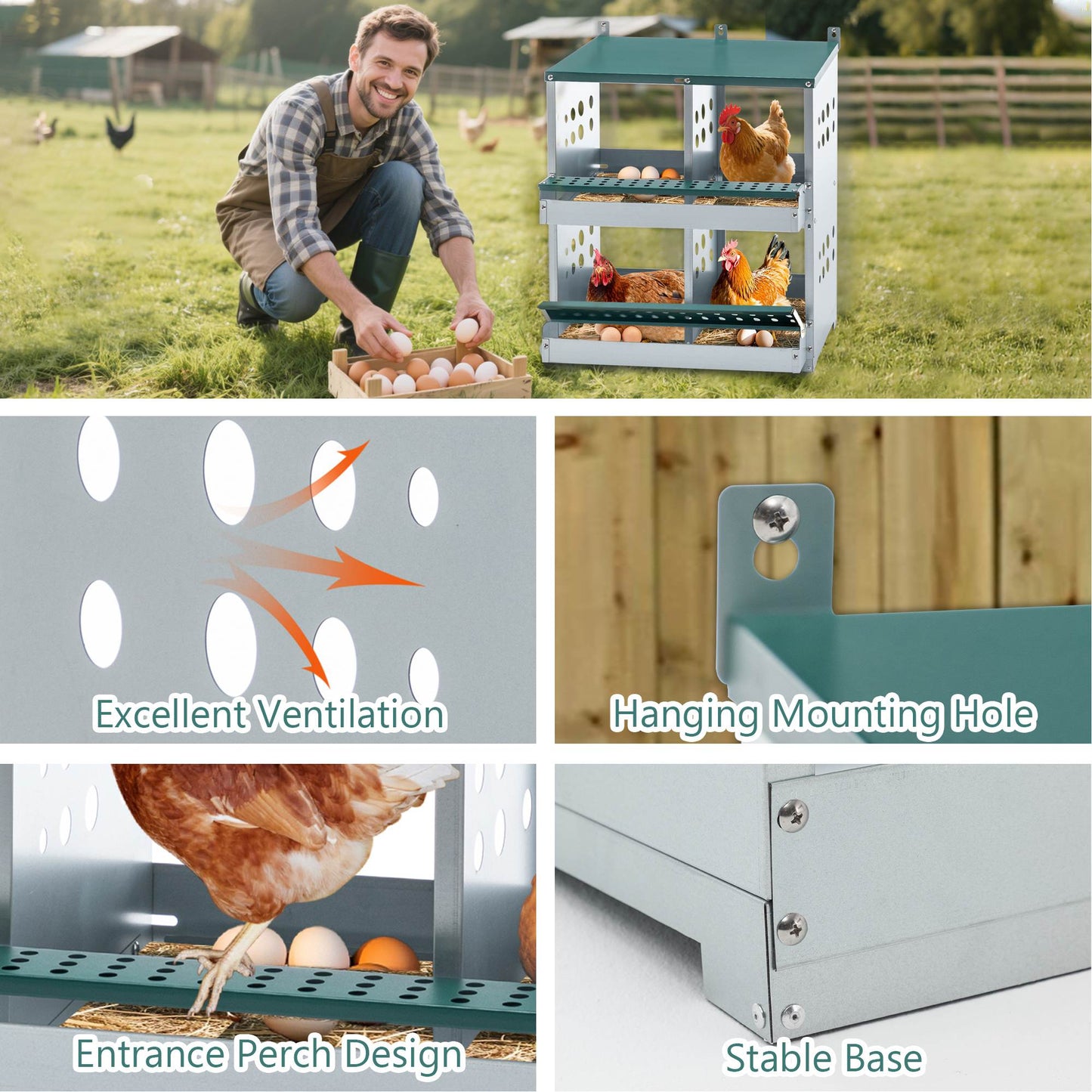 US Local 4 Compartment Chicken Nesting Boxes, Metal Nesting Boxes Wall Mount Chicken Egg Laying Box For Different Chicken Breeds
