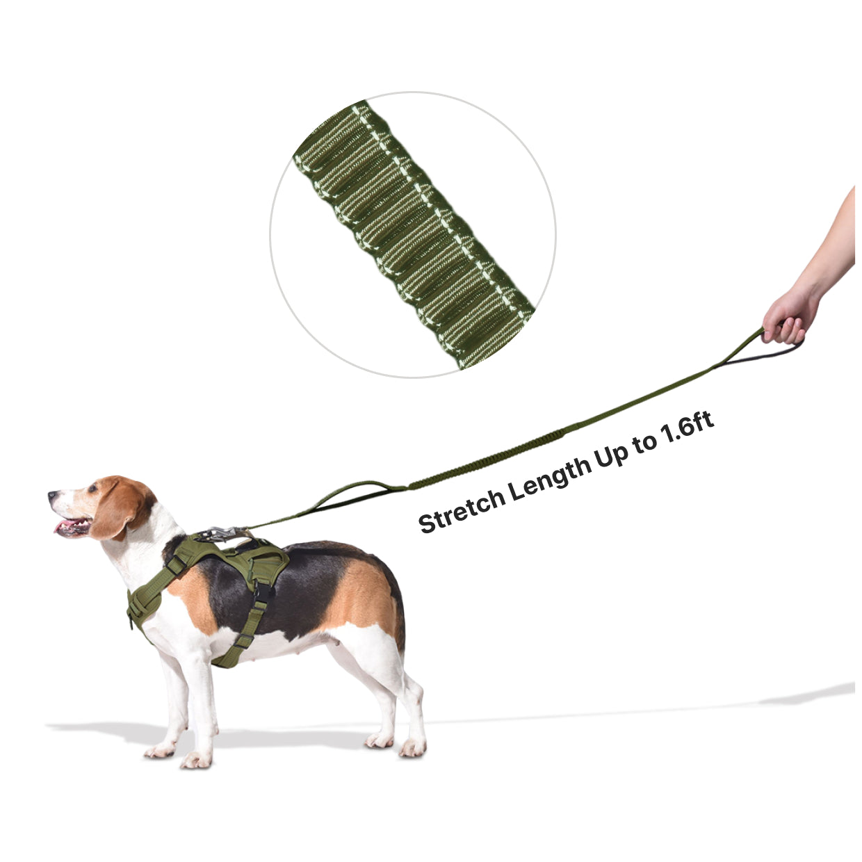 US Local PETMARVEL 4-6 FT Shock Absorbing Tactical Dog Leash Dual Handle For Training