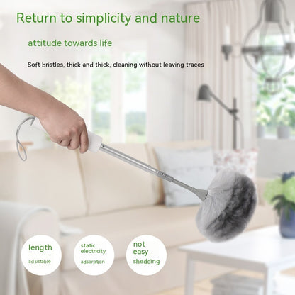 US Local Household Car Wireless Handheld Electric Dust Sweeper