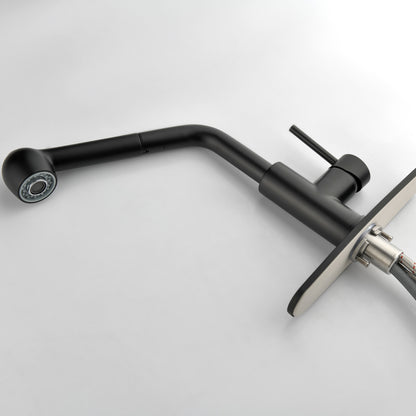 US Local Stainless Steel Matte Black Single Handle Pull Out Spray, Kitchen Faucet