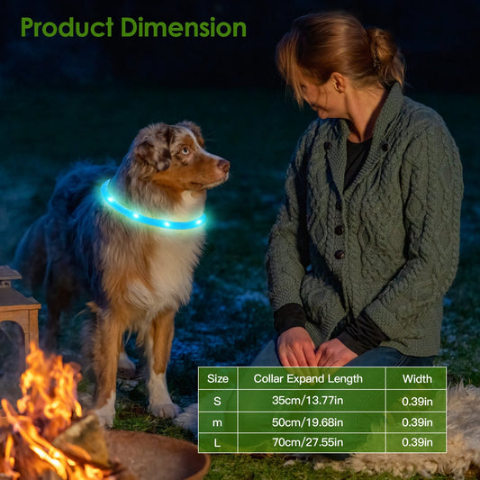 US Local 1 Pc USB Rechargeable LED Dog Collar Multi Color Lighting Dog Safety Collar Cuttable Length Glow Dog Collar For Small Medium Large Dog Night Walking