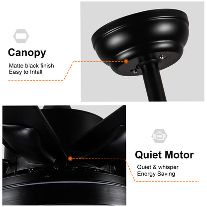 US Local Metallic Black Ceiling Fan