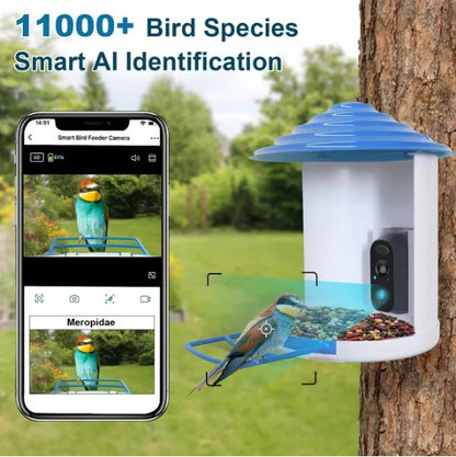 US Local Smart Bird Feeder With Solar Powered Camera 1080P HD AI Identify PIR Motion Auto Capture Video Cloud Card Storage WiFi Connection App Control IP65 Waterproof